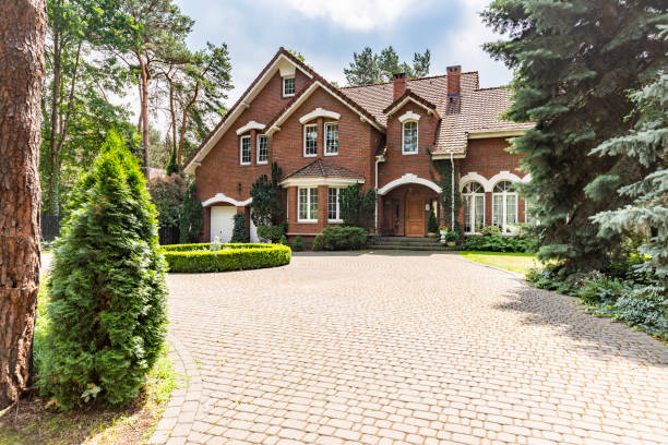 Best Local Driveway Pavers  in Camden, AR
